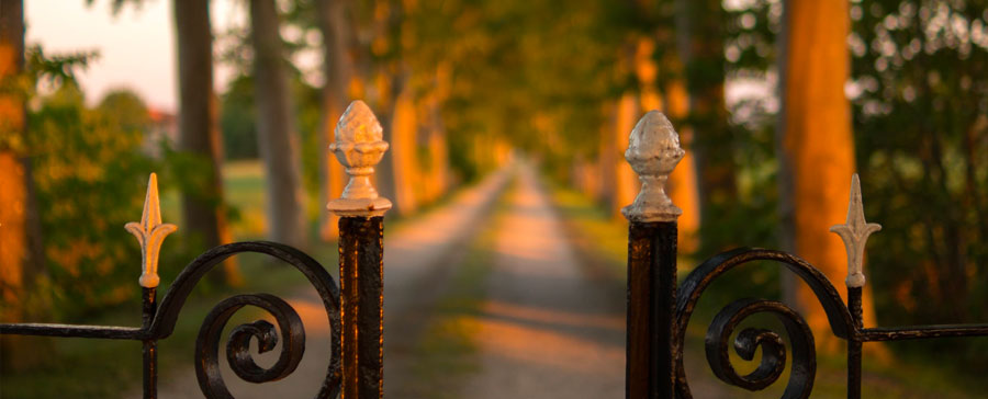 Gatekeeper Insurance How to Get Past the Gatekeepers of