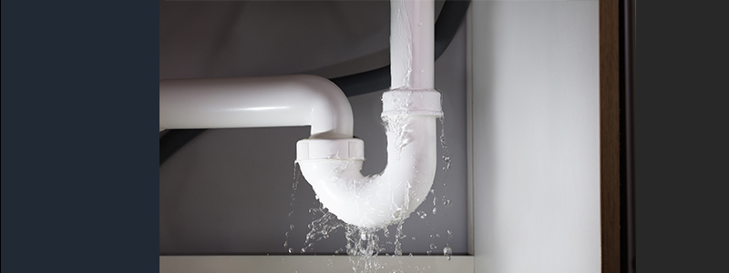 Cyber Risk Insurance